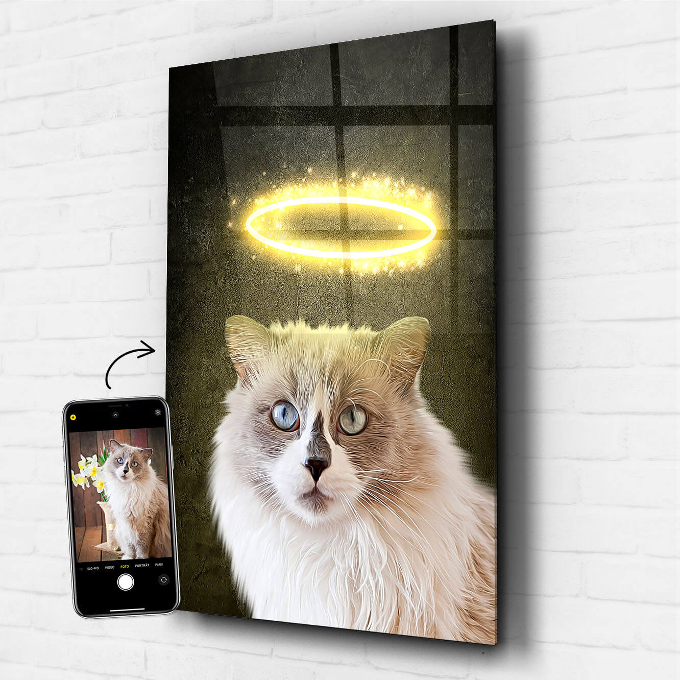 Katzenportrait auf Acrylglas Tierportrait